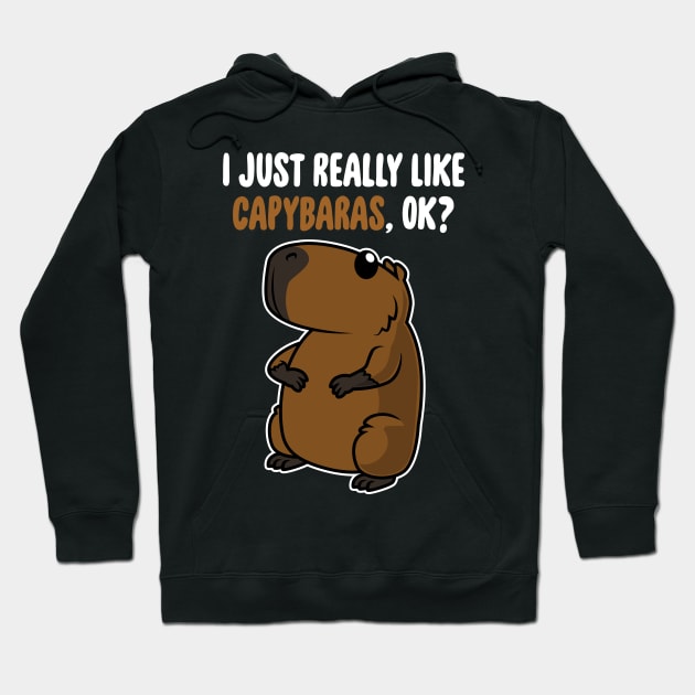 I Just Really Like Capybaras OK ? Cute Toddlers Kids product Hoodie by theodoros20